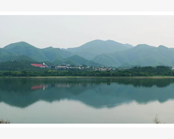中药方剂学：中医古老而神奇的瑰宝